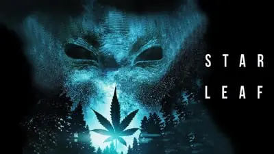 Star Leaf_backdropimg