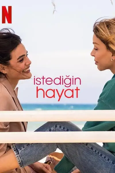 İstediğin Hayat_poster