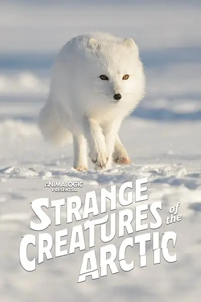 Strange Creatures of the Arctic_poster