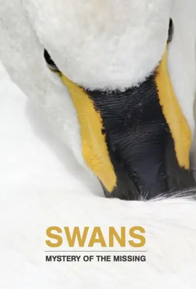 Swans: Mystery of the Missing_poster