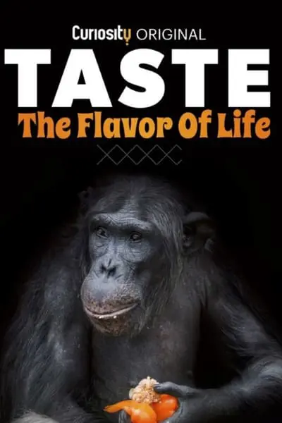 Taste: The Flavor of Life_poster