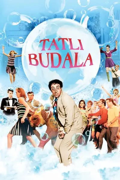 Tatlı Budala_poster