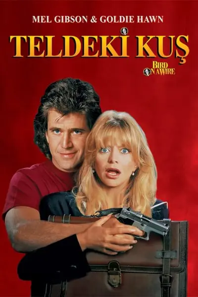 Teldeki Kuş_poster