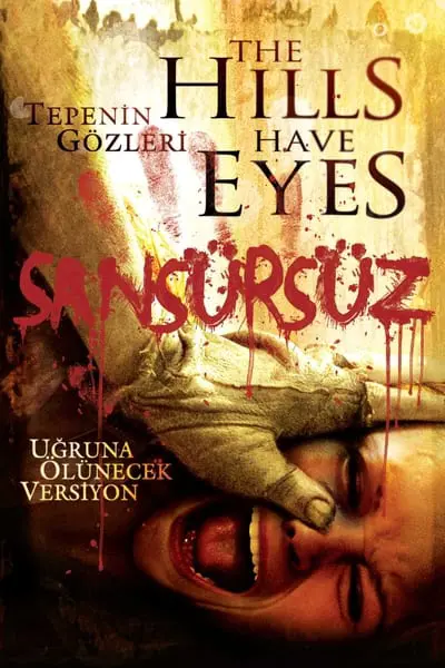 Tepenin Gözleri_poster
