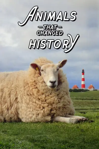 The Animals That Changed History_poster