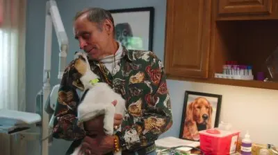 The Dog Doc_backdropimg