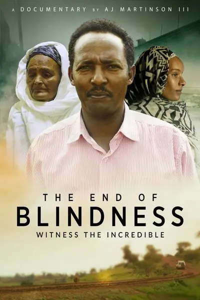 The End of Blindness_poster