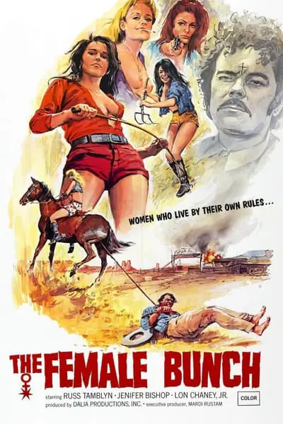 The Female Bunch_poster