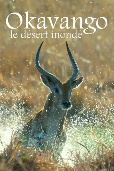 The Flooded Desert_poster