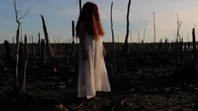 The Girl in the Cornfield_backdropimg