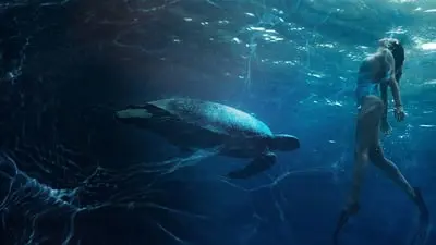 The Great Barrier Reef_backdropimg