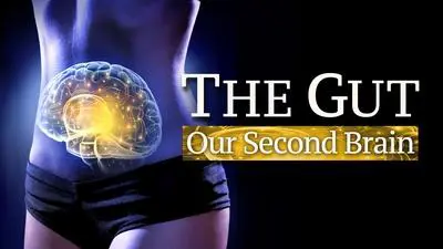The Gut: Our Second Brain_backdropimg