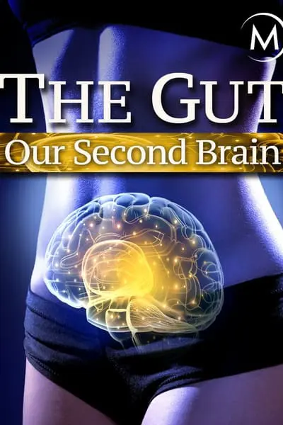 The Gut: Our Second Brain_poster