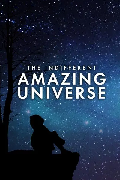 The Indifferent Amazing Universe_poster