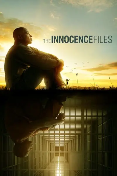 The Innocence Files_poster