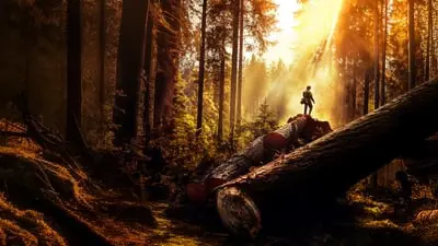 The Last Woodsmen_backdropimg