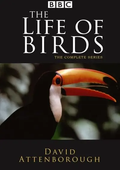 The Life of Birds_poster