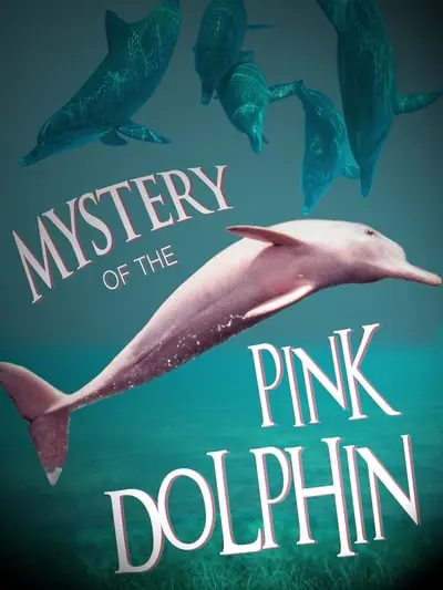 The Mystery of the Pink Dolphin_poster