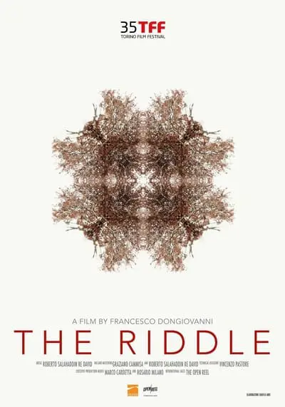 The Riddle_poster