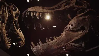 The Rise & Fall Of T-Rex_backdropimg
