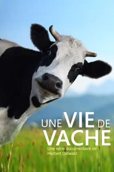 The Secret Life of Cows_poster