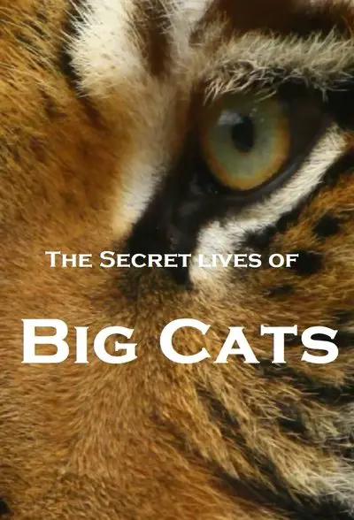 The Secret Lives Of Big Cats_poster