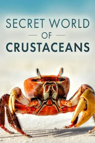 The Secret World of Crustaceans_poster