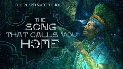 The Song That Calls You Home_backdropimg