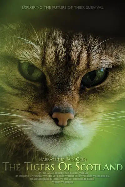 The Tigers of Scotland_poster