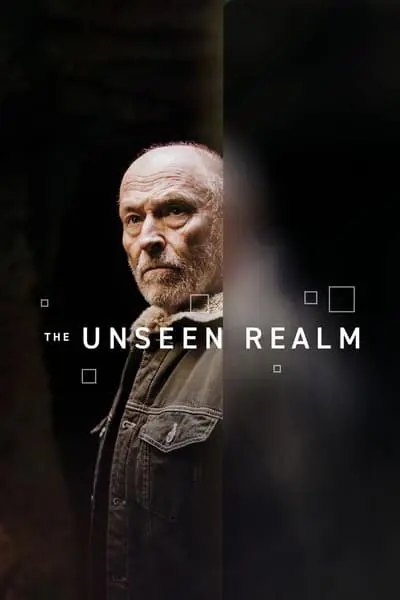 The Unseen Realm_poster