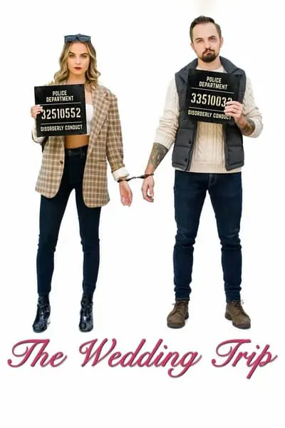 The Wedding Trip_poster