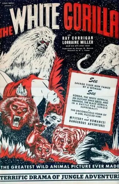 The White Gorilla_poster