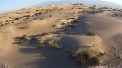 The Women in the Sand_backdropimg