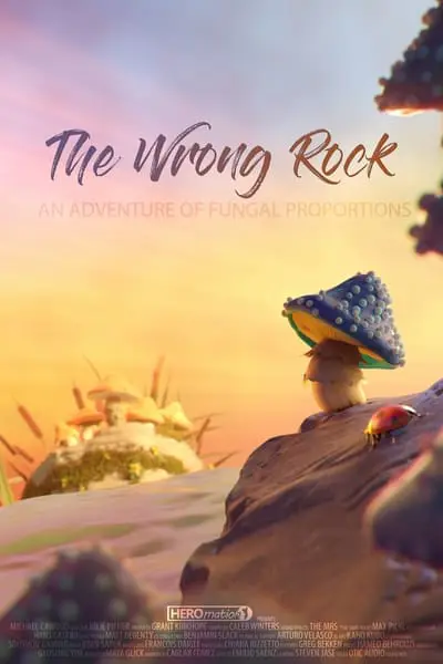 The Wrong Rock_poster