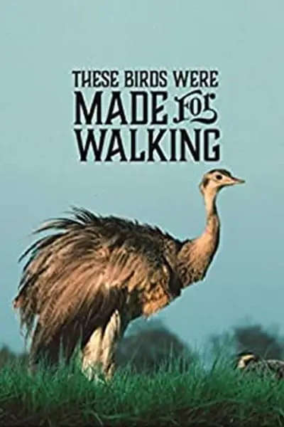 These Birds Were Made for Walking_poster