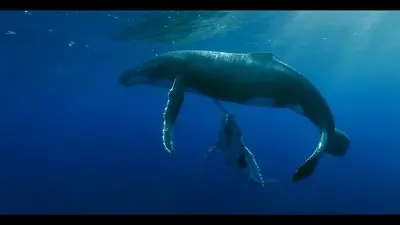 Titans of the Deep_backdropimg