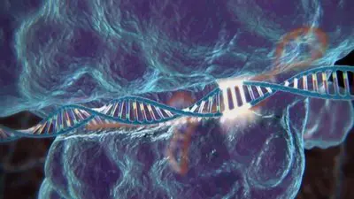 Top Science Stories Of 2016_backdropimg