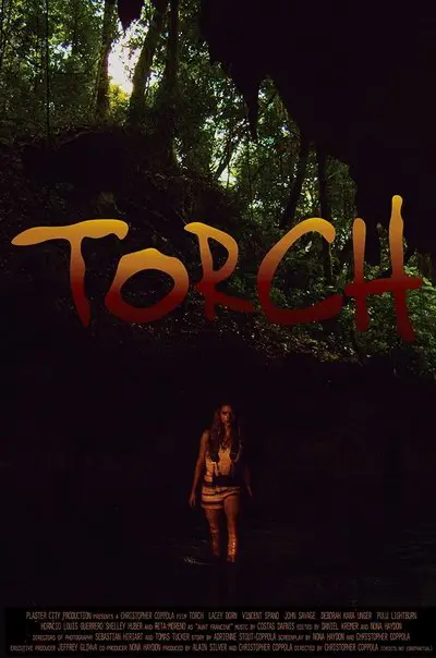 Torch_poster