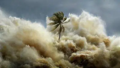 Tsunami: Kıyamet Dalgaları_backdropimg