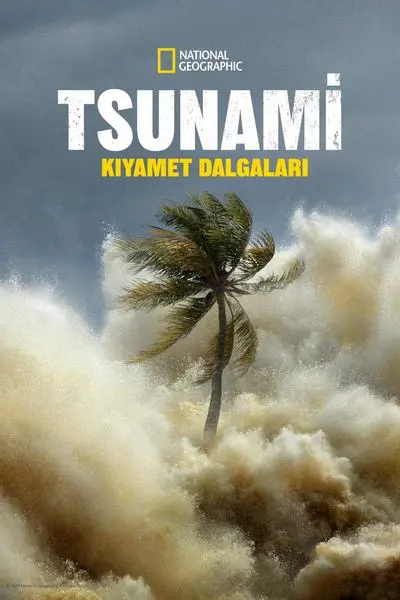 Tsunami: Kıyamet Dalgaları_poster