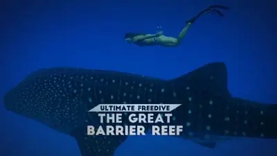 Ultimate Freedive: The Great Barrier Reef_backdropimg