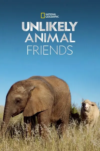 Unlikely Animal Friends_poster