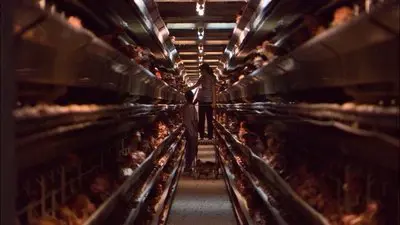Unser täglich Brot_backdropimg