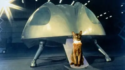 Uzaydan Gelen Kedi_backdropimg