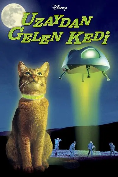 Uzaydan Gelen Kedi_poster