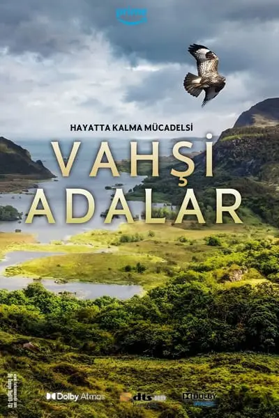 Vahşi adalar_poster