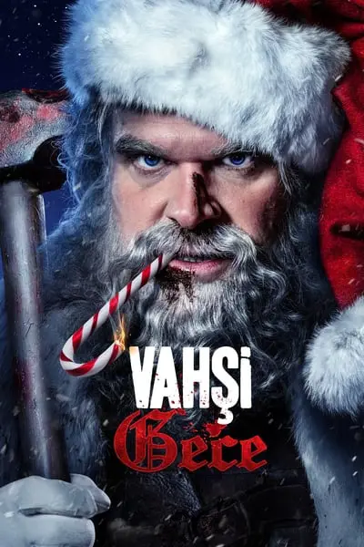 Vahşi Gece_poster