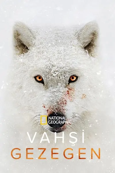 Vahşi Gezegen_poster