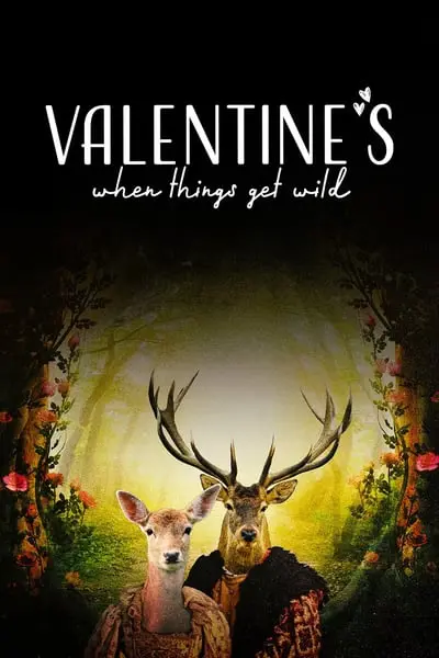 Valentine's: When Things Get Wild_poster