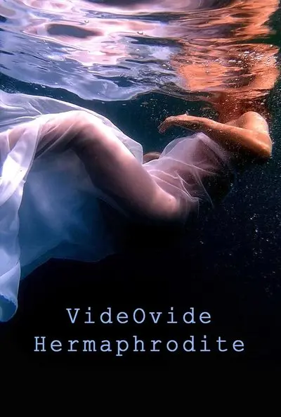 VideOvide Hermaphrodite_poster